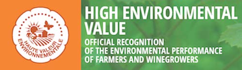 CÔTES du RHÔNE 2024, Château de Ruth, Rhône Valley, France