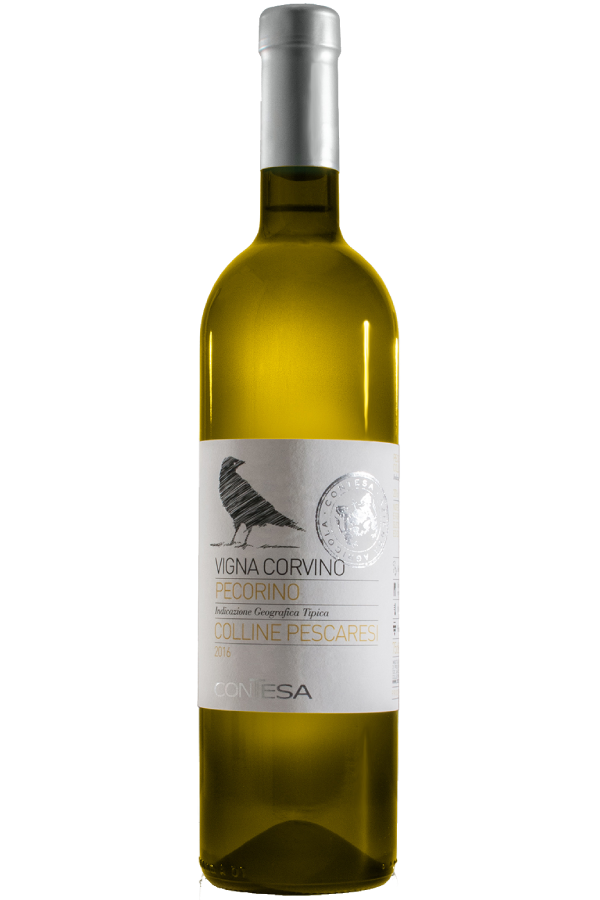 PECORINO 2024, Vigna Corvino, Az. Agr. Contesa, Abruzzo, Italy