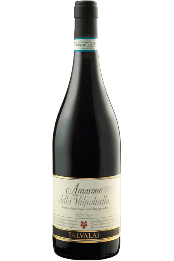AMARONE 2019, Salvalai, Veneto, IT – Abcon Wine Merchants Ontario
