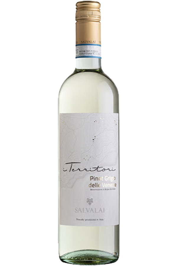 PINOT GRIGIO 2024, Cantine Salvalai, delle Venize DOC, Veneto, Italy