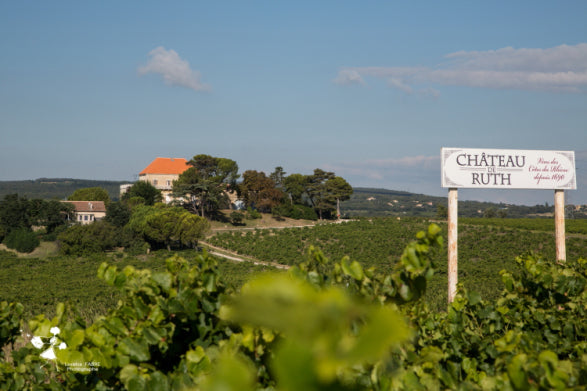 CÔTES du RHÔNE 2023, Château de Ruth, Rhône Valley, France