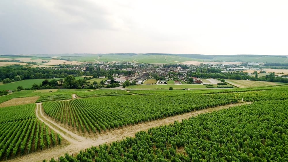 CHABLIS 2023, Domaine Fourrey et Fils, Burgundy, France