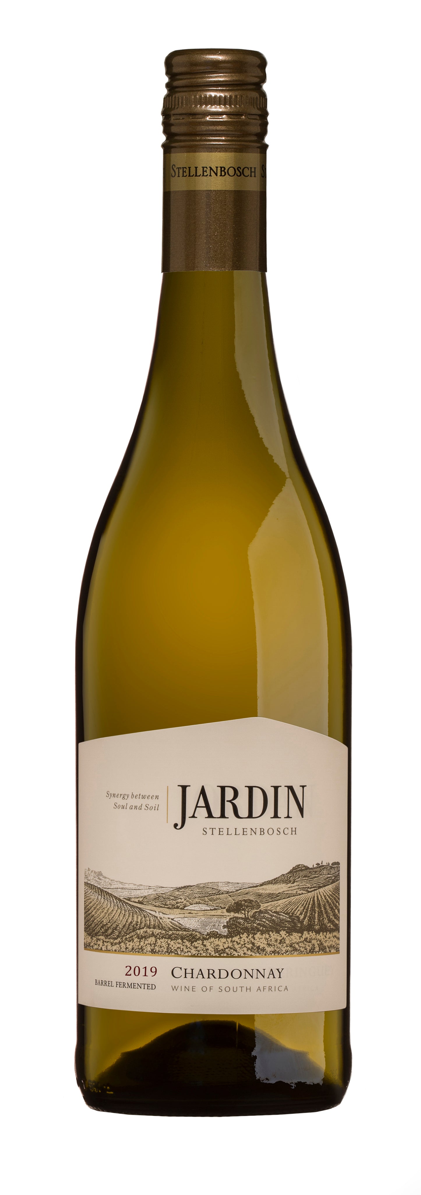 CHARDONNAY 2024, Barrel Fermented, Jardin, Jordan Estate, Stellenbosch, South Africa