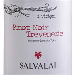 PINOT NOIR 2022, Cantine Salvalai, Trevenzie IGT, Italy