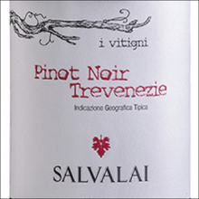 Load image into Gallery viewer, PINOT NOIR 2021, Cantine Salvalai, Trevenzie IGT, Italy
