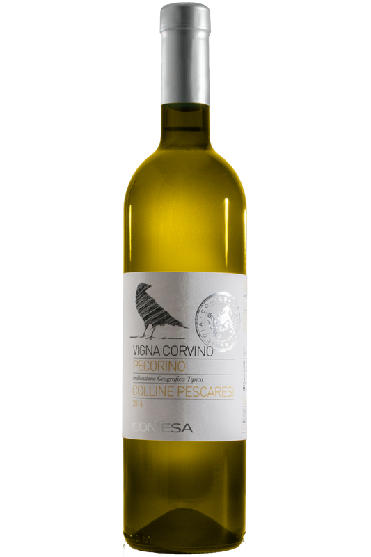 PECORINO 2024, Vigna Corvino, Az. Agr. Contesa, Abruzzo, Italy