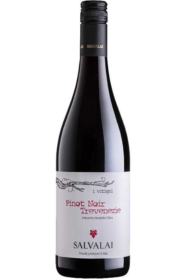PINOT NOIR 2022, Cantine Salvalai, Trevenzie IGT, Italy