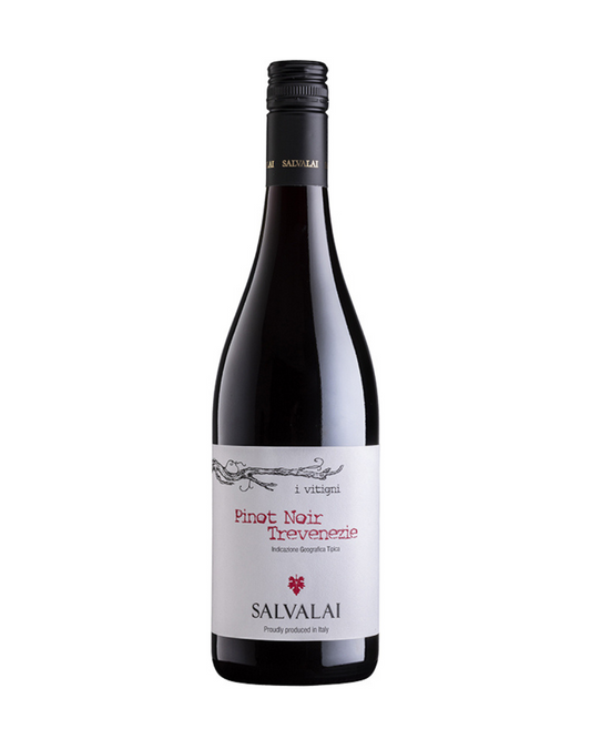 PINOT NOIR 2022, Cantine Salvalai, Trevenzie IGT, Italy