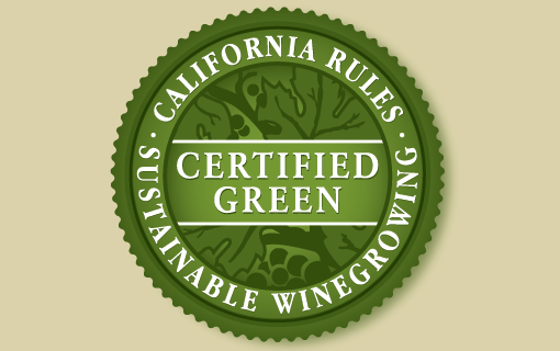 PETITE SIRAH 2021, Bogle Vineyards, California, U.S.A.