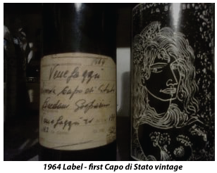 CAB BLEND | CAPO di STATO 2019, Loredan Gasparini, Venegazzù, Montello e Colli Asolani DOC,Veneto, Italy