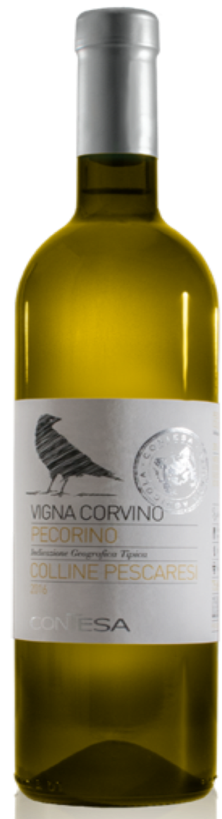 PECORINO 2023, Vigna Corvino, Az. Agr. Contesa, Abruzzo, Italy
